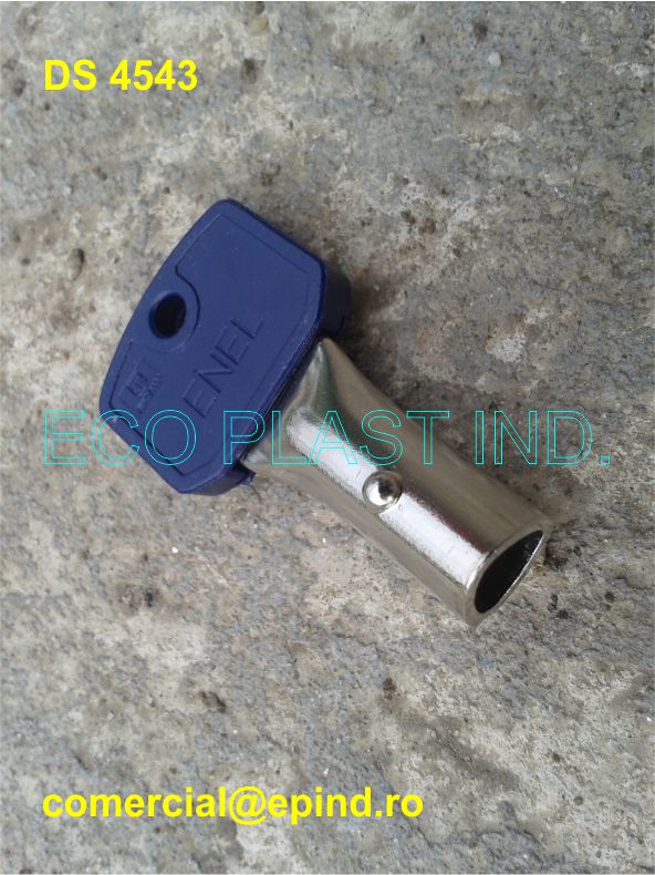 DS 4543
