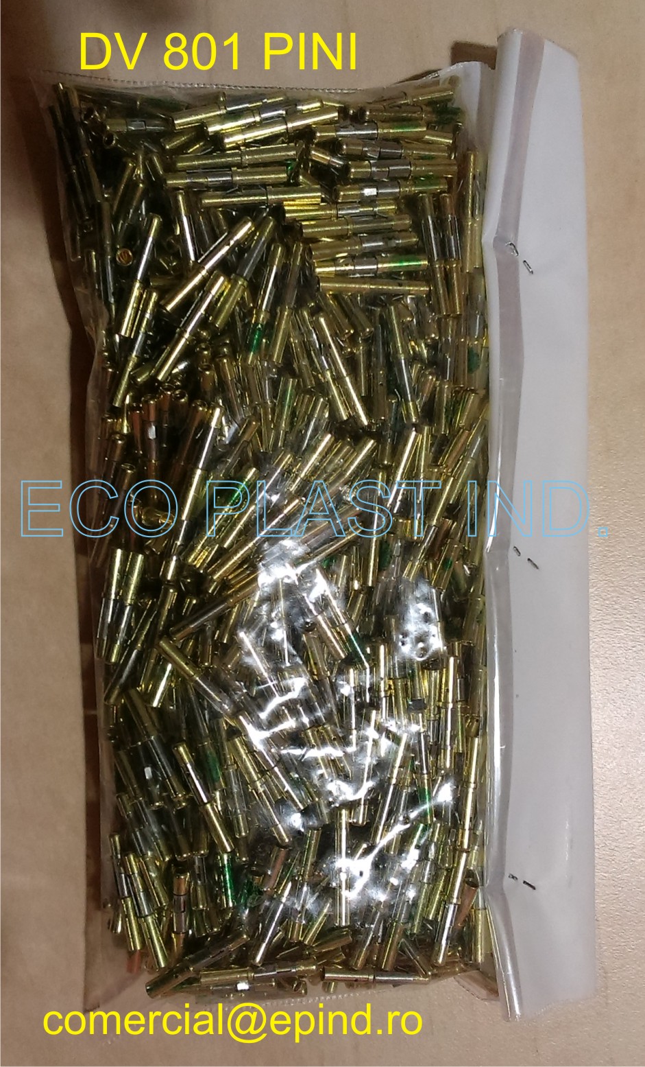 DV 801 PINI